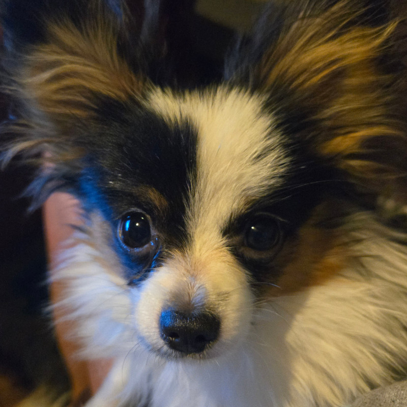 bigs klamath falls realtor