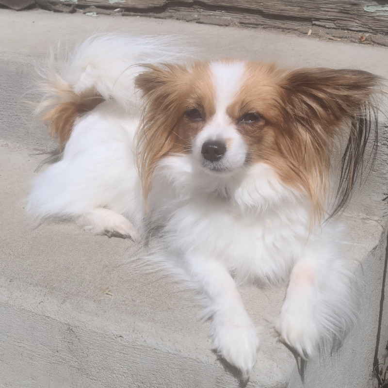 punkin klamath falls realtor