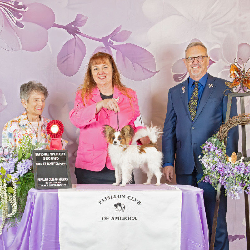 shaker klamath falls realtor