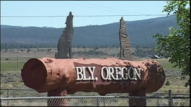 Bly Log