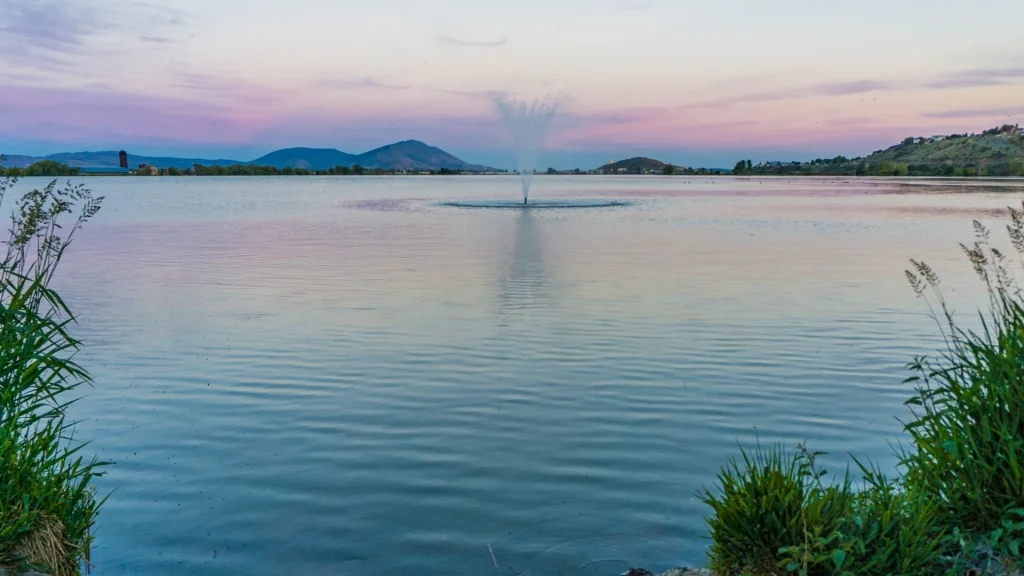 My top 3 bird watching spots of Klamath Falls
