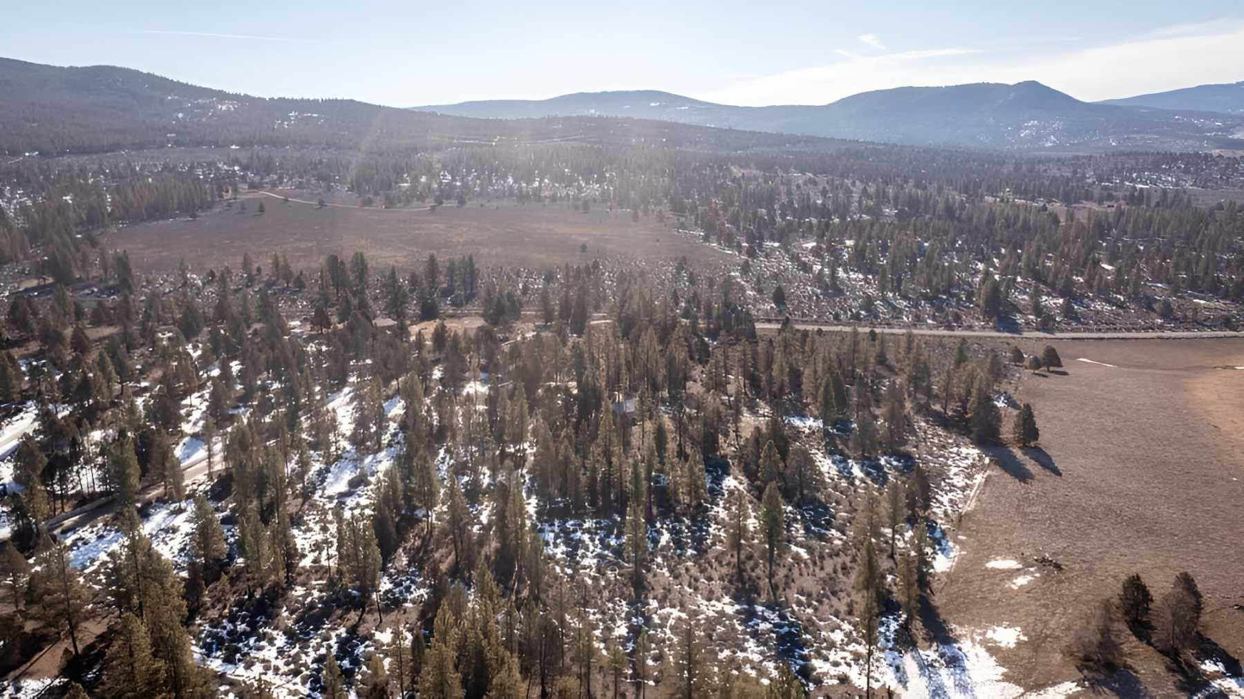 Your Klamath Falls REALTOR® Darlene Humphreys