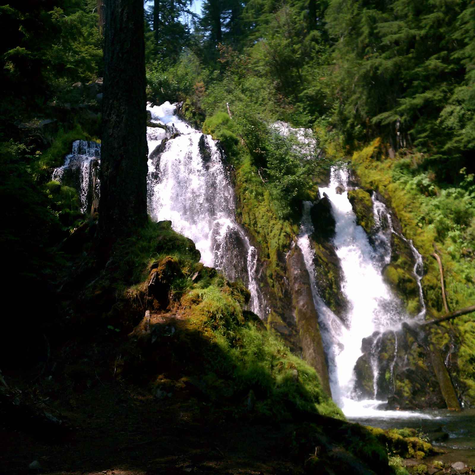 south central oregon real estate klamath falls