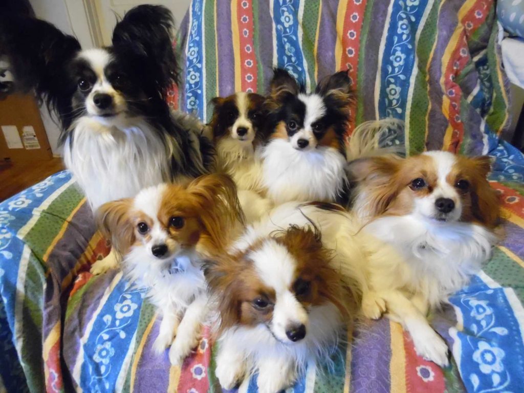 team humphreys klamath falls